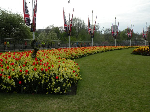  parterre de tulipes rouges, St-James's Park
